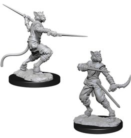 WizKids D&D Nolzur's MUM: Male Tabaxi Rogue W7
