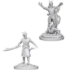 WizKids D&D Nolzur's MUM: Male Tiefling Warlock W6