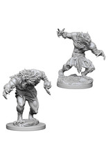 WizKids D&D Nolzur's MUM: Werewolves W4