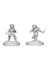 WizKids D&D Nolzur's MUM: Halfling Female Rogue