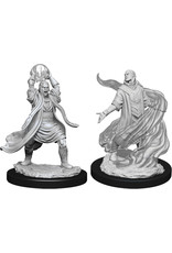 WizKids D&D Nolzur's MUM: W11 Male Elf Sorcerer