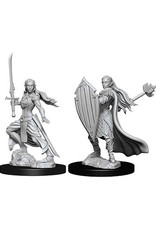 WizKids D&D Nolzur's MUM: W9 Female Elf Paladin