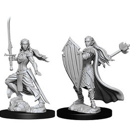 WizKids D&D Nolzur's MUM: W9 Female Elf Paladin