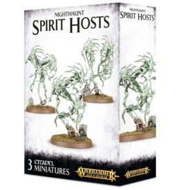 Age of Sigmar Nighthaunt Spirit Hosts