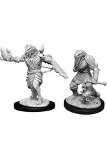 WizKids D&D Nolzur's MUM: Male Dragonborn Paladin W11