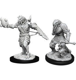 WizKids D&D Nolzur's MUM: Male Dragonborn Paladin W11