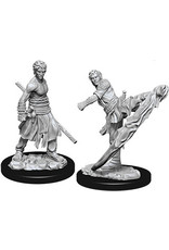 WizKids D&D Nolzur's MUM: W10 Male Half-Elf Monk