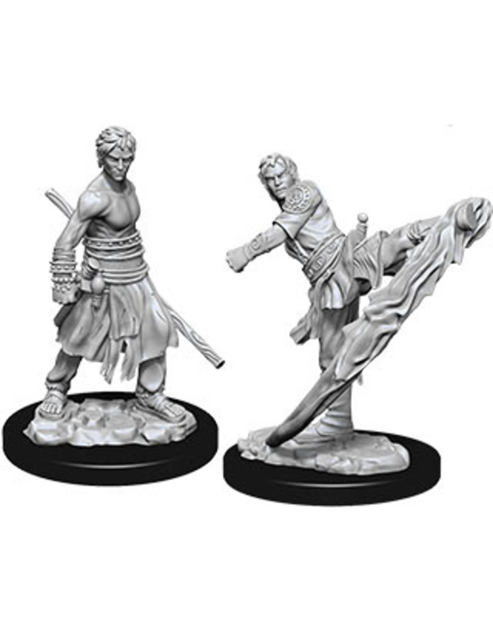 WizKids D&D Nolzur's MUM: W10 Male Half-Elf Monk