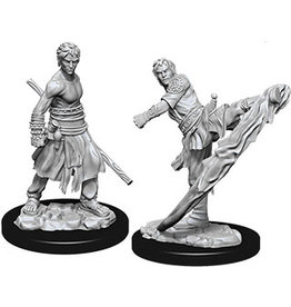 WizKids D&D Nolzur's MUM: W10 Male Half-Elf Monk