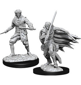 WizKids D&D Nolzur's MUM: W10 Male Elf Rogue