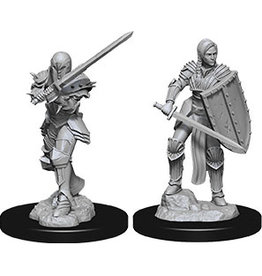 WizKids D&D Nolzur's MUM: W9 Female Human Fighter