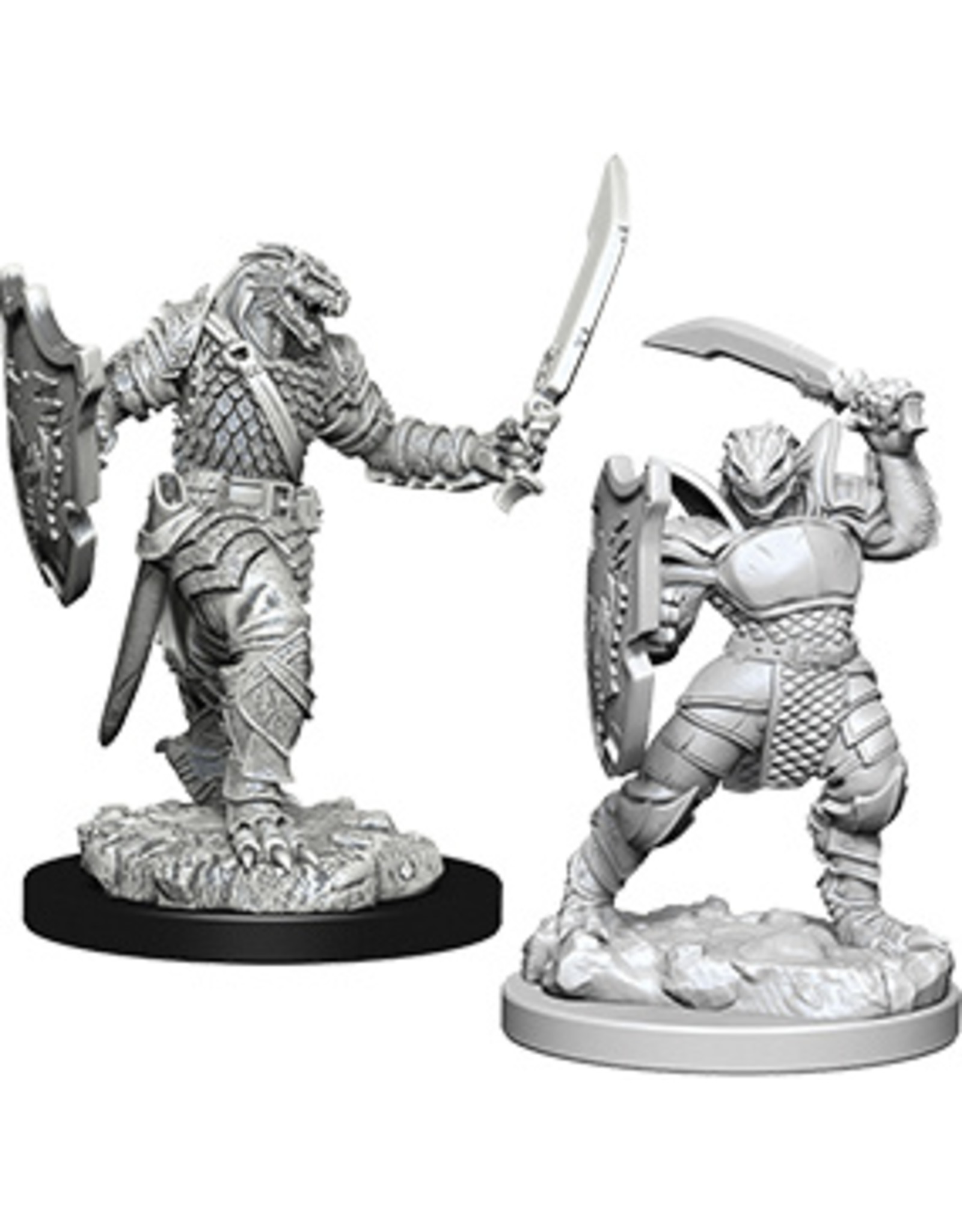 WizKids WZK D&D NMU: Dragonborn Female Paladin