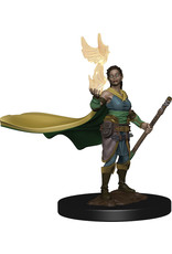 WizKids D&D Nolzur's MUM: Elf Female Druid W4