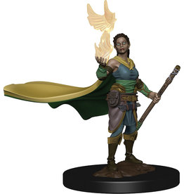WizKids D&D Nolzur's MUM: Elf Female Druid W4