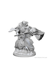 WizKids D&D Nolzur's MUM: Human Male Wizard