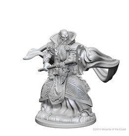WizKids D&D Nolzur's MUM: Human Male Wizard