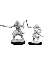 WizKids D&D Nolzur's MUM: W8 Bandits