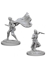 WizKids PF DC: Elf Female Rogue W4