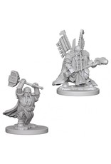 WizKids D&D Nolzur's MUM: Dwarf Male Paladin W4