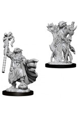 WizKids D&D NMU: W8 Dragonborn Female Sorcerer