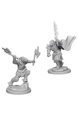 WizKids D&D Nolzur's MUM: Dragonborn Female Fighter W4