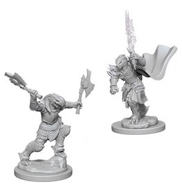 WizKids D&D Nolzur's MUM: Dragonborn Female Fighter W4