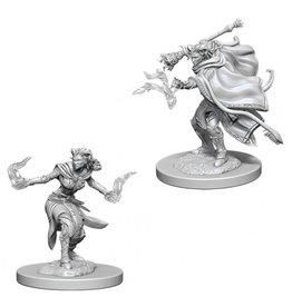 WizKids D&D Nolzur's MUM: W06 Female Tiefling Warlock