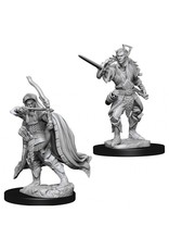 WizKids D&D Nolzur's MUM: Male Elf Rogue W7