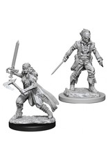 WizKids D&D Nolzur's MUM: W8 Vampire Hunters