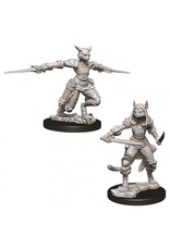 WizKids D&D Nolzur's MUM: W9 Female Tabaxi Rogue