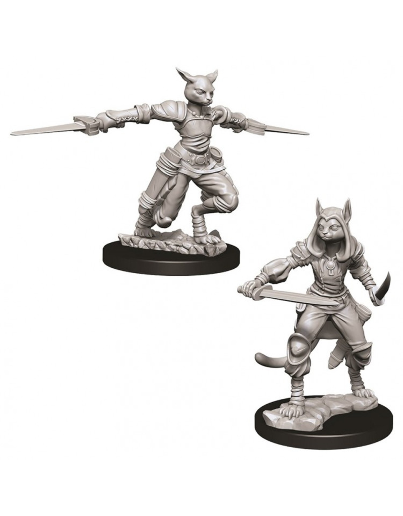 WizKids D&D Nolzur's MUM: W9 Female Tabaxi Rogue