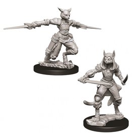 WizKids D&D Nolzur's MUM: W9 Female Tabaxi Rogue