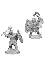 WizKids D&D Nolzur's MUM: Dragonborn Male Paladin W4