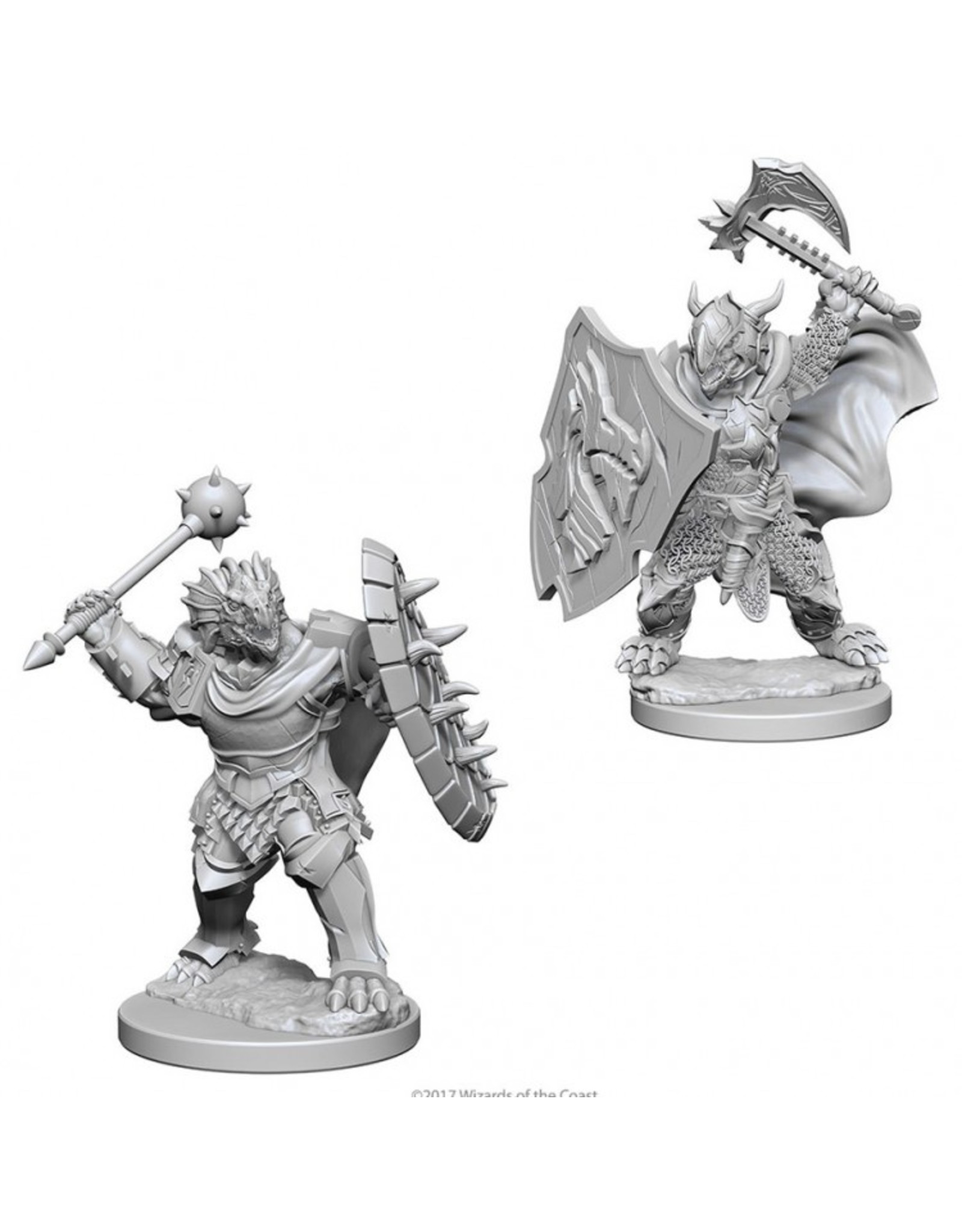 WizKids D&D Nolzur's MUM: Dragonborn Male Paladin W4