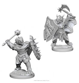 WizKids D&D Nolzur's MUM: Dragonborn Male Paladin W4
