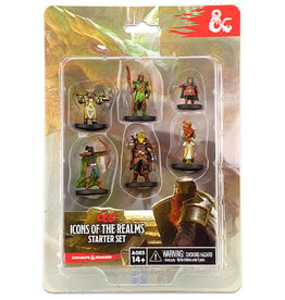 WizKids D&D Miniatures: ICR Starter Set