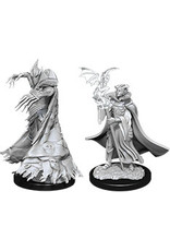 WizKids Pathfinder DC: W12 Cultist & Devil