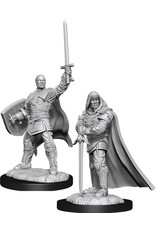 WizKids D&D Nolzur's MUM: W13 Human Paladin Male