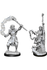 WizKids D&D Nolzur's MUM: W13 Firbolg Druid Female