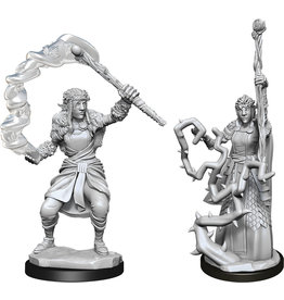 WizKids D&D Nolzur's MUM: W13 Firbolg Druid Female