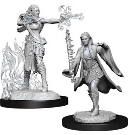 WizKids D&D Nolzur's MUM: W13 Multiclass Warlock + Sorcerer Female