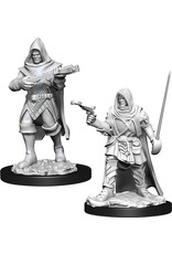 WizKids Pathfinder DC: W13 Human Rogue Male