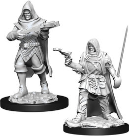 WizKids Pathfinder DC: W13 Human Rogue Male