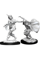 WizKids Pathfinder DC: W14 Human Rogue Female