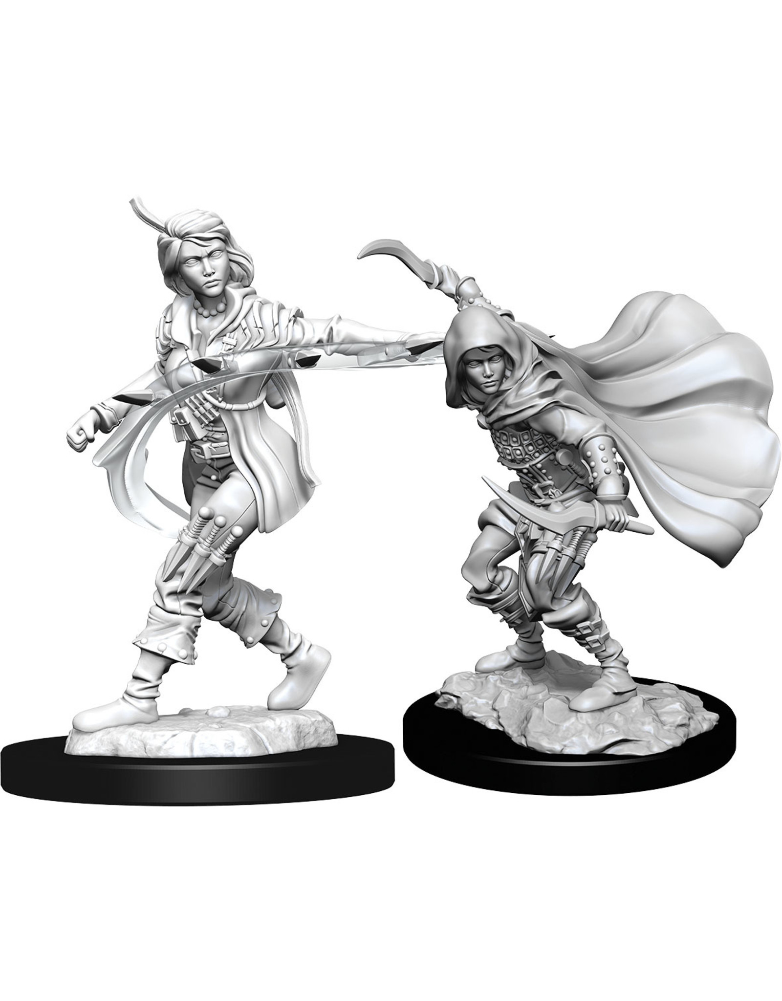WizKids Pathfinder DC: W14 Human Rogue Female