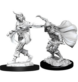 WizKids Pathfinder DC: W14 Human Rogue Female