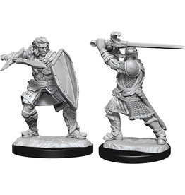 WizKids D&D Nolzur's MUM: W14 Human Paladin Male