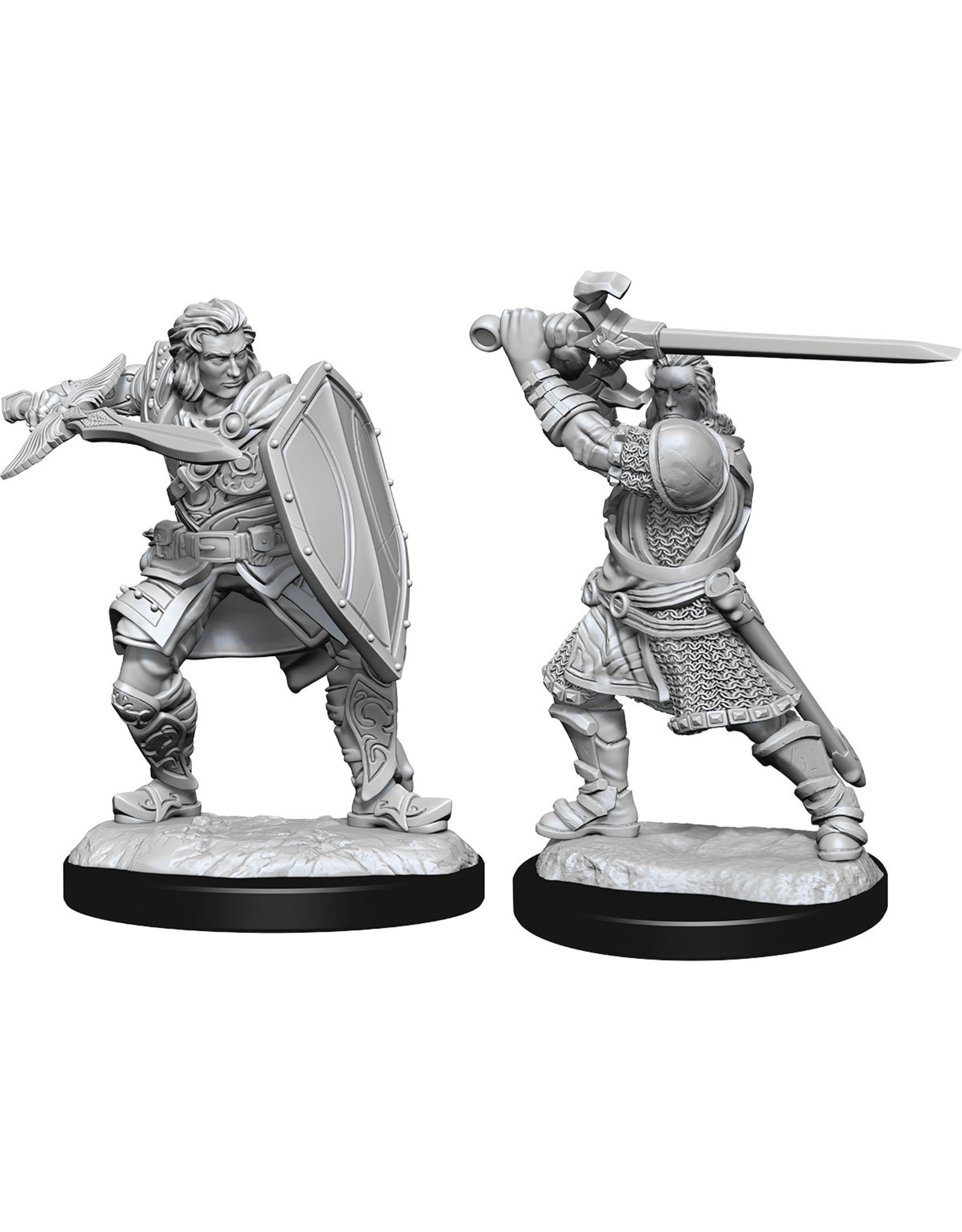 WizKids D&D Nolzur's MUM: W14 Half-Elf Paladin Male