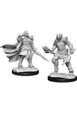 WizKids D&D Nolzur's MUM: W15 Dragonborn Fighter Female