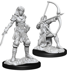 WizKids Pathfinder DC: W15 Human Fighter Female